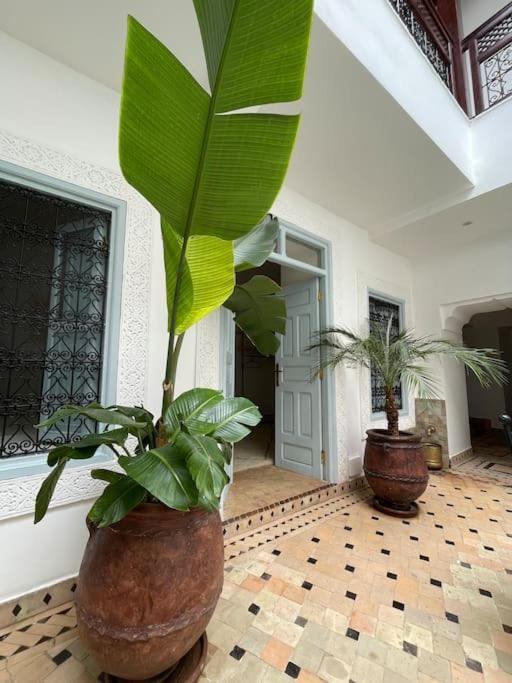 Riad Vivre - Design Boutique Riad In Marrakech مراكش المظهر الخارجي الصورة