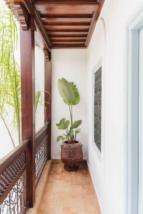 Riad Vivre - Design Boutique Riad In Marrakech مراكش المظهر الخارجي الصورة